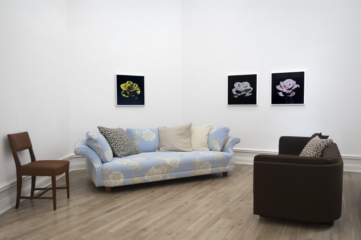 Sahco : canapé fleuri bleu ciel et fauteuil chocolat dans une galerie blanche